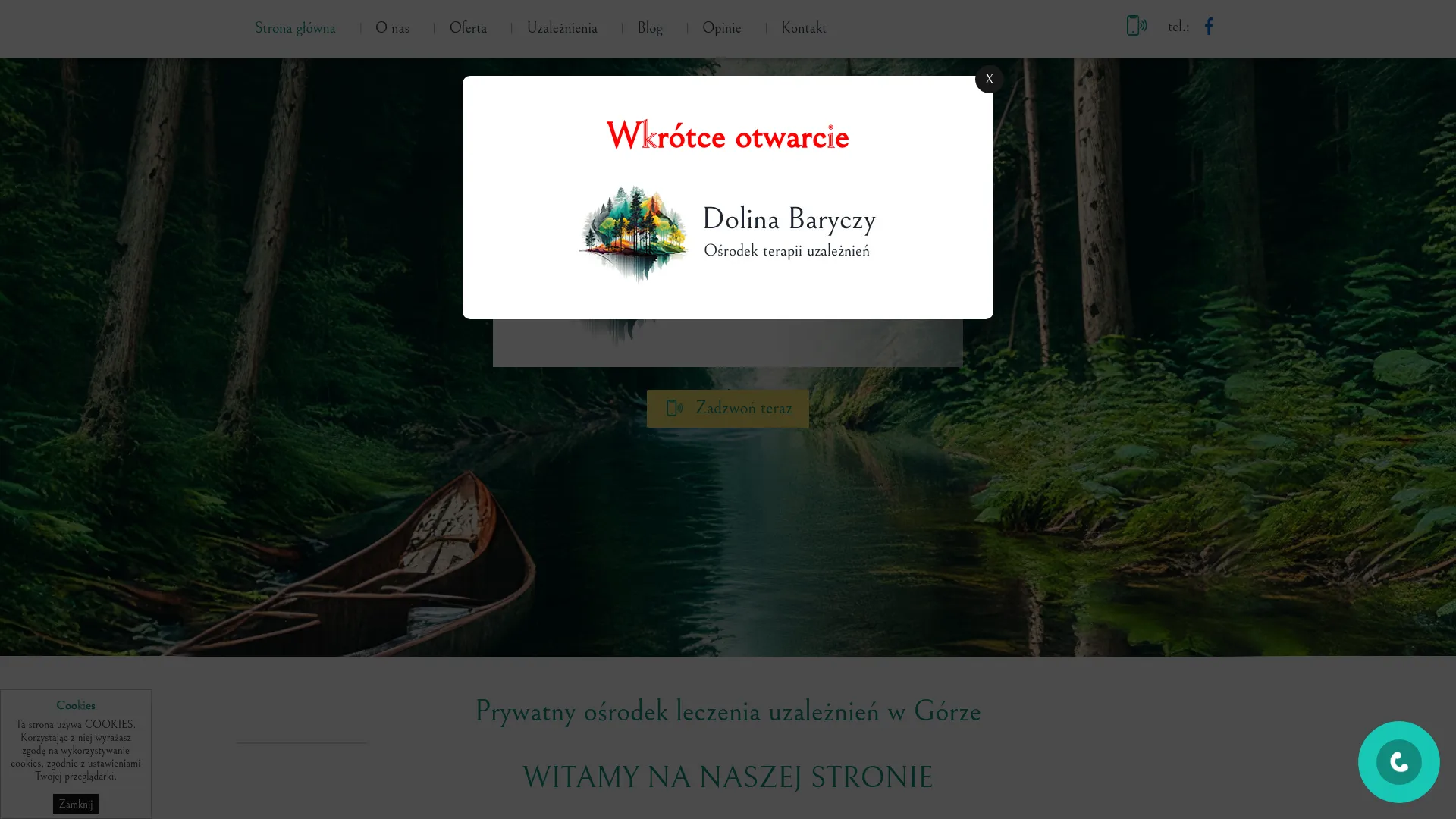 www.terapia-dolina-baryczy.pl